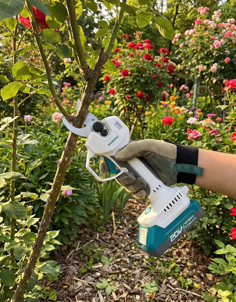 Cordless pruning shears